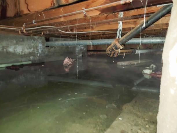 Best Carpet water damage restoration  in Claremore, OK