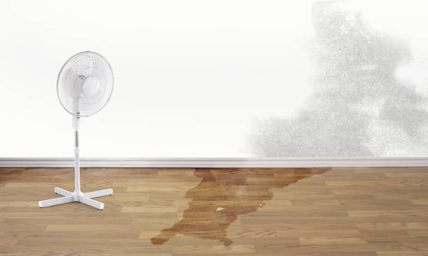 Best Sewage cleanup and water damage restoration  in Claremore, OK