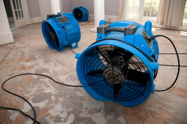 Reliable OK Water damage restoration Solutions