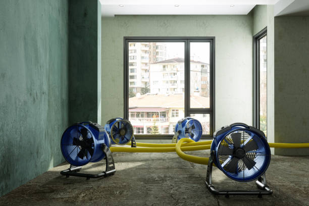 Best Water damage contractors near me  in Claremore, OK
